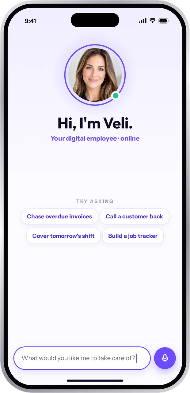 Veli asking what she can take care of, with suggestions like chase overdue invoices